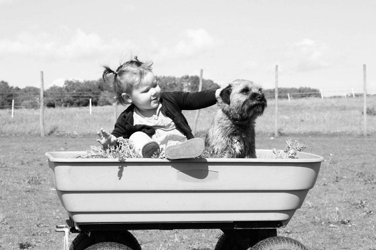 niña con perro en carro