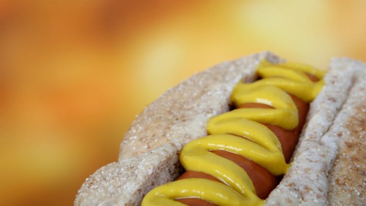 salsas del perrito caliente mostaza hot dog