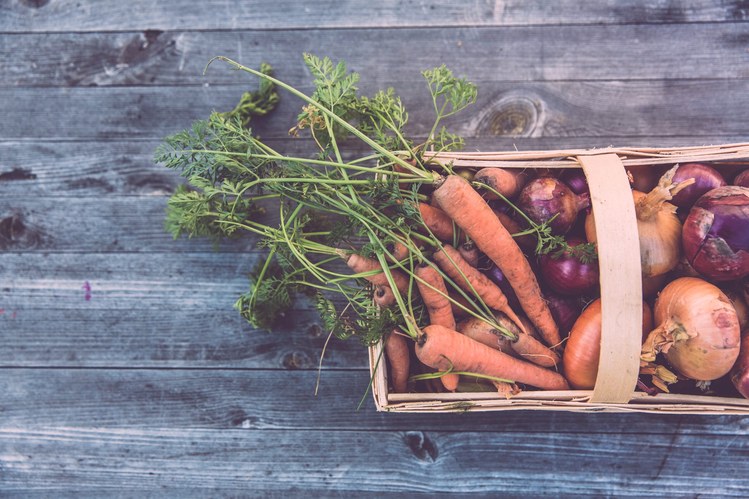 Tendencias en alimentación sostenible